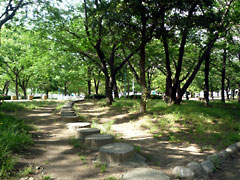泉尾公園